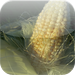 Grain Freight